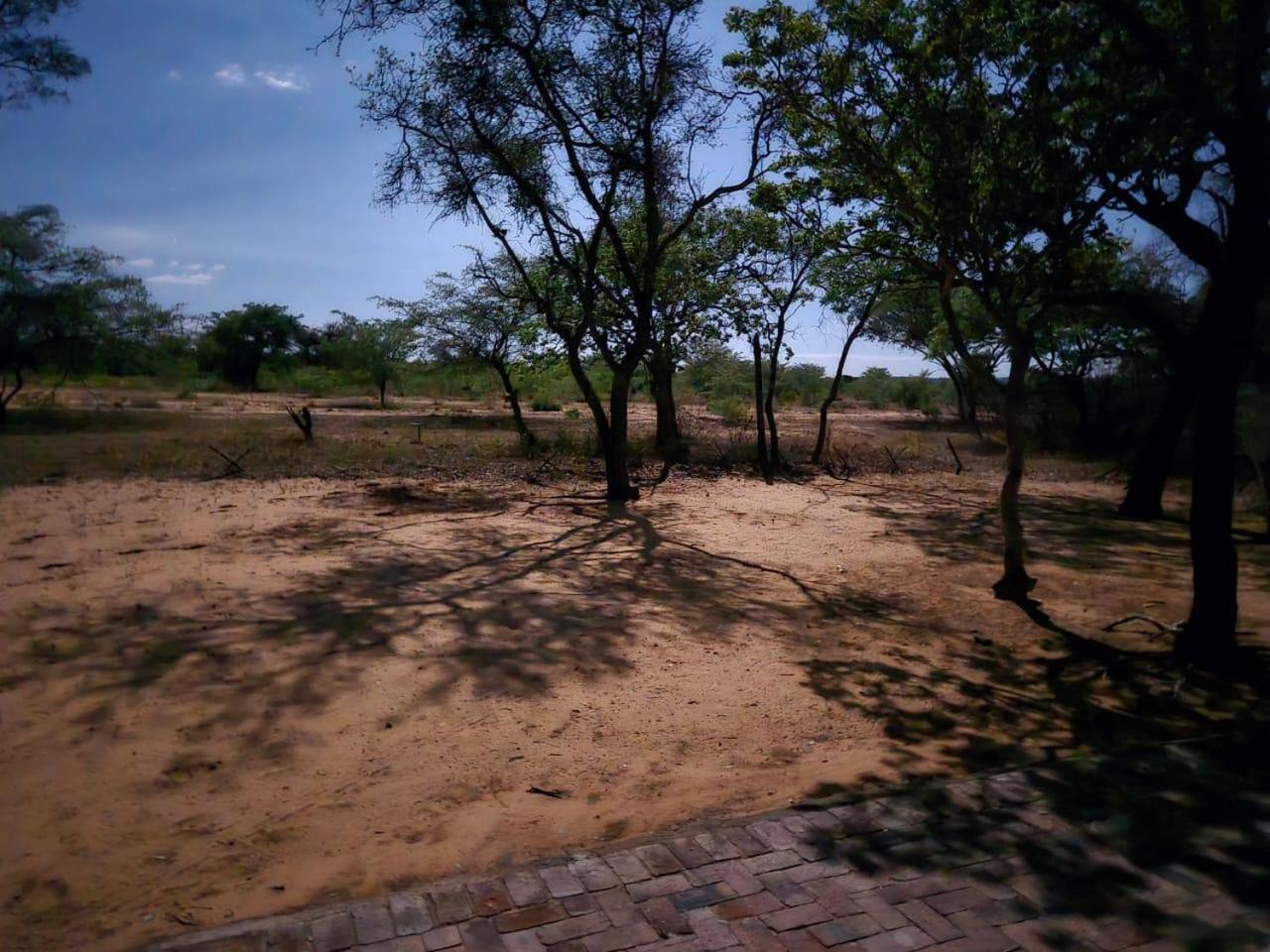 Kigeni Safari Lodge & Spa Vaalwater Kültér fotó