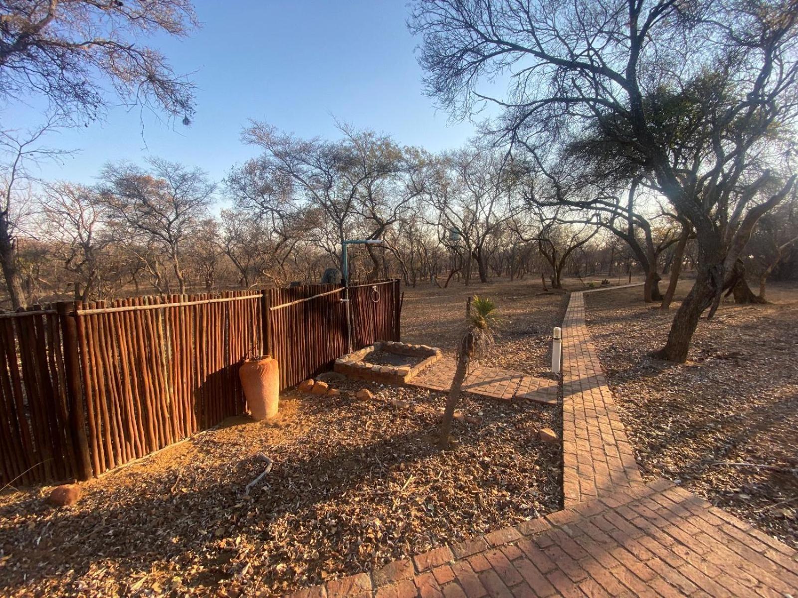 Kigeni Safari Lodge & Spa Vaalwater Szoba fotó