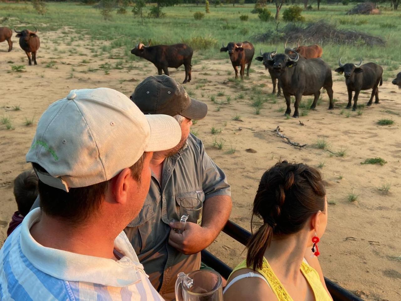 Kigeni Safari Lodge & Spa Vaalwater Kültér fotó