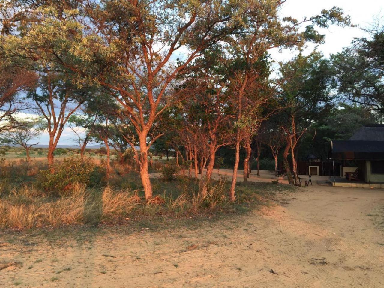 Kigeni Safari Lodge & Spa Vaalwater Kültér fotó