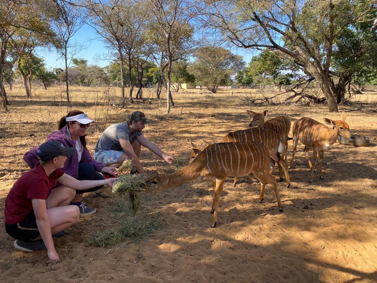 Kigeni Safari Lodge & Spa Vaalwater Kültér fotó